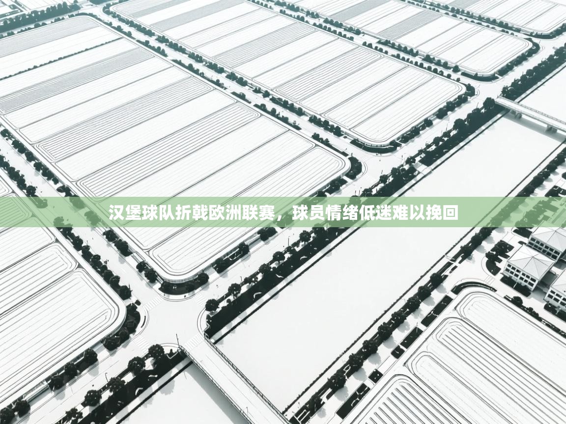 开云直播-汉堡球队折戟欧洲联赛，球员情绪低迷难以挽回