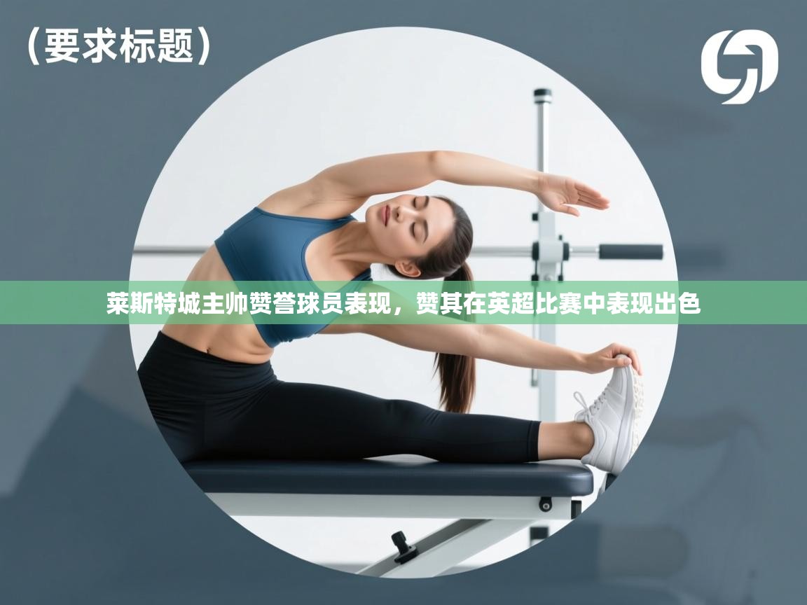 开云体育VIP权益说明-莱斯特城主帅赞誉球员表现，赞其在英超比赛中表现出色  第2张