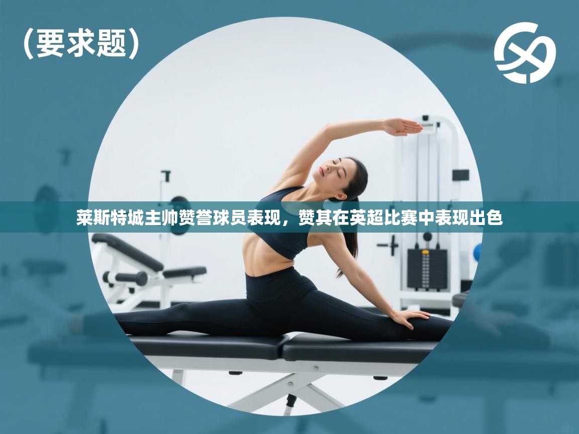 开云体育VIP权益说明-莱斯特城主帅赞誉球员表现，赞其在英超比赛中表现出色  第3张