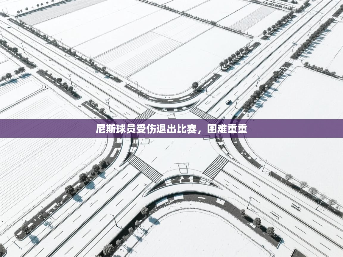 开云体育app下载官网-尼斯球员受伤退出比赛，困难重重  第1张