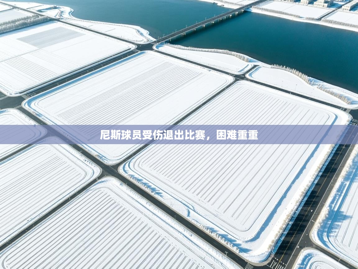 开云体育app下载官网-尼斯球员受伤退出比赛，困难重重  第3张