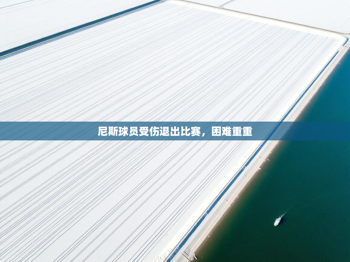 开云体育app下载官网-尼斯球员受伤退出比赛，困难重重  第2张